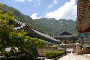 동학사